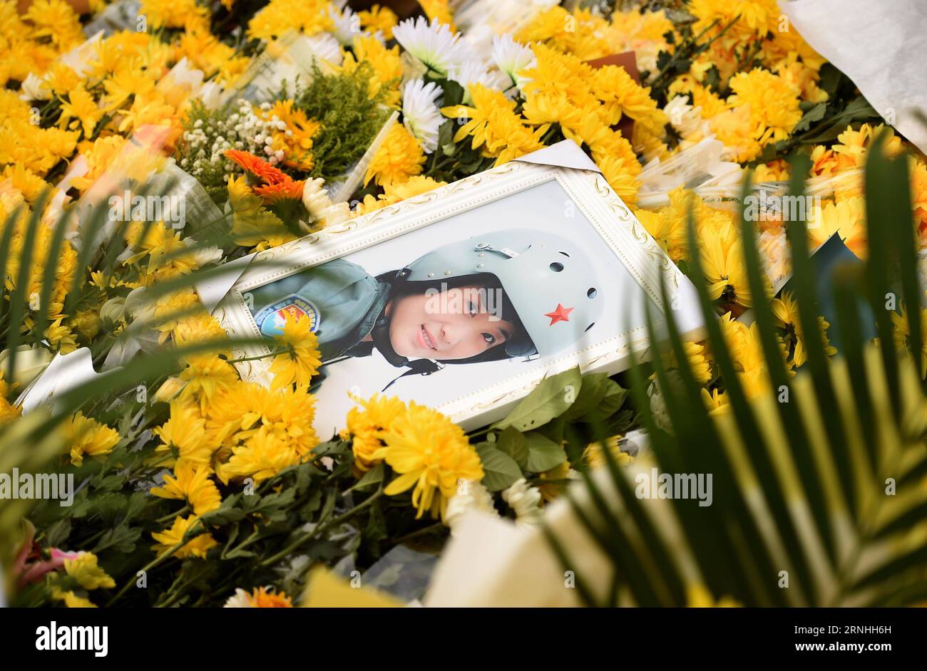 Zhou chong hi-res stock photography and images - Alamy