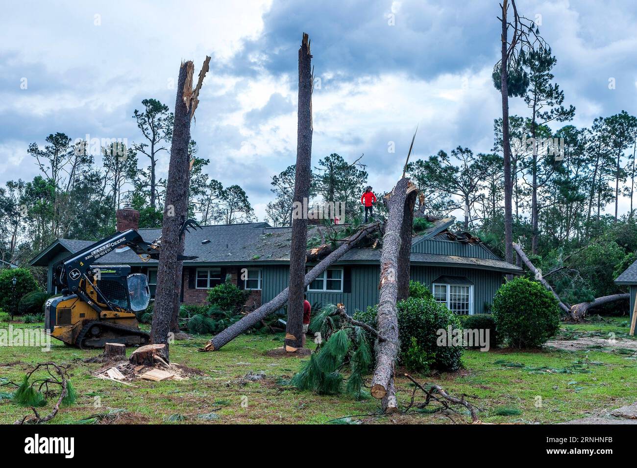 Perry, United States. 01st Sep, 2023. FEMA workers assist in removing fallen trees from a home in the aftermath of Hurricane Idalia, September 1, 2023 in Perry, Florida. The small town of 7,000 was pummeled by Hurricane Idalia shredding trees and destroying homes. Credit: Steve Zumwalt/FEMA/Alamy Live News Stock Photo