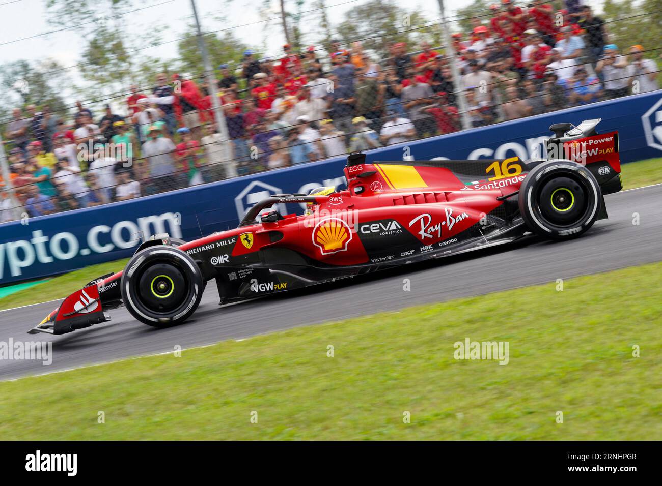 Monza, Italy. 1 Sep, 2023. Charles Leclerc of Monaco driving the (16 ...