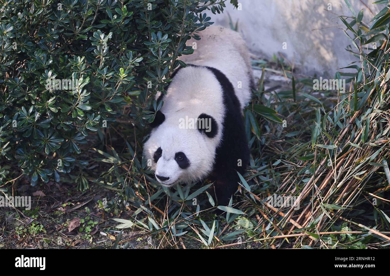 Following the rules hires stock photography and images Alamy