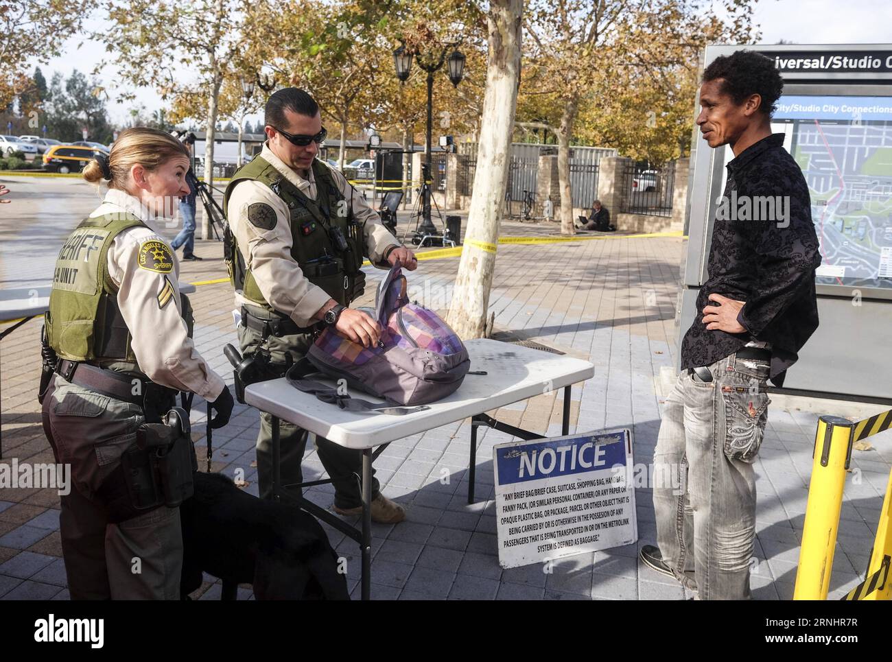 Lapd Telephone Number