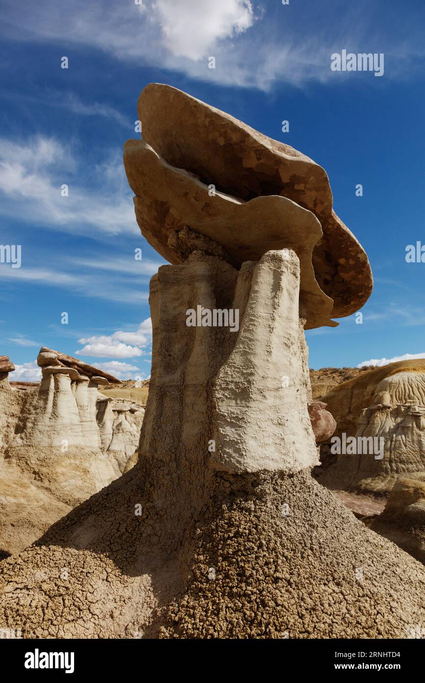 The Ah-Shi-Sle Pah Wilderness Study Area has some of the best hoodoo formations in the rolling water-carved clay hills of the New Mexico badlands Stock Photo