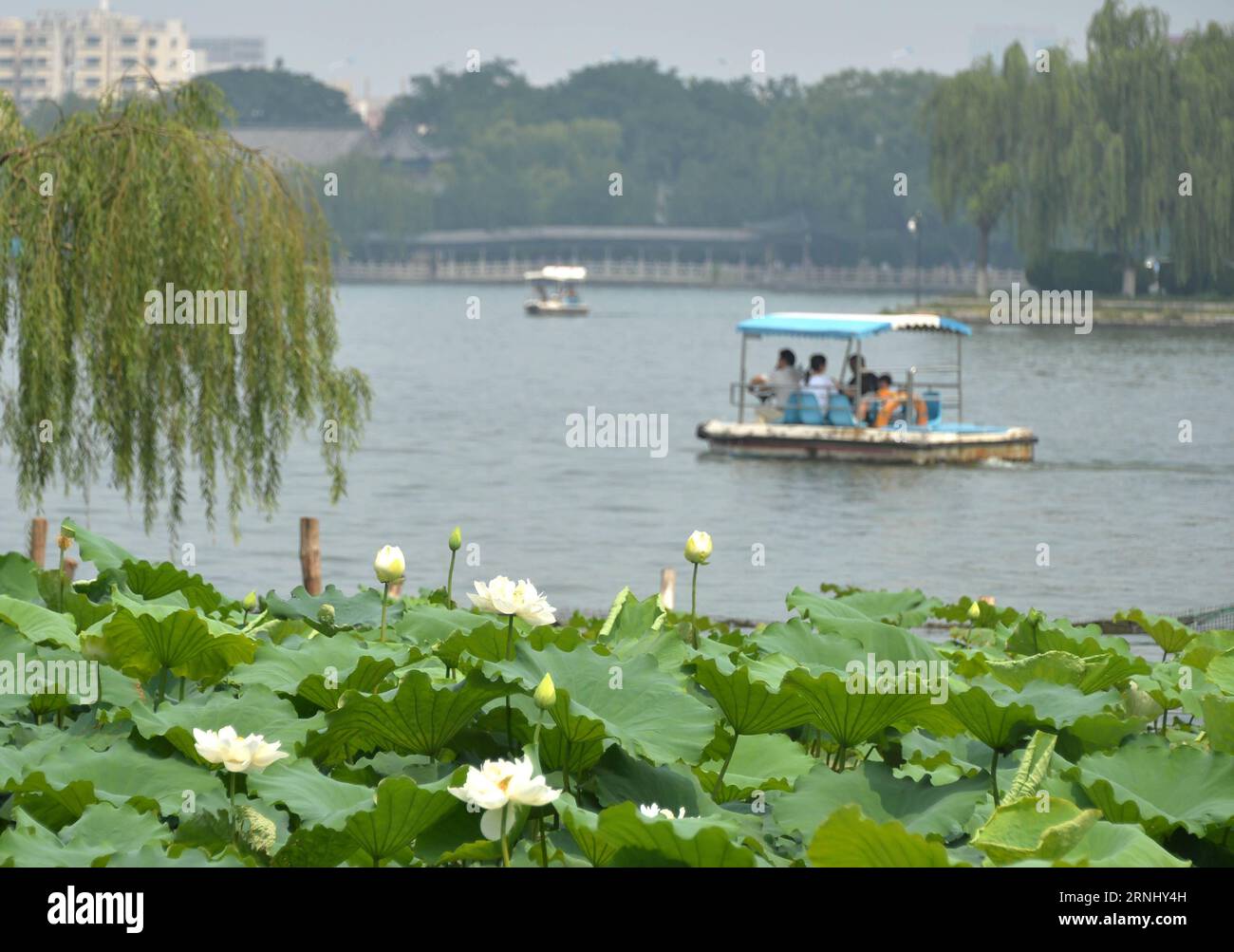 JINAN,2016 -- File photo taken on July 2, 2016 shows the scenery of the Daming Lake in Jinan, capital of east China s Shandong Province. Local government announced on Monday that except some special exhibitions and projects for profitable operation, the old zone of the Daming Lake scenic area will be ticket free to the public from Jan. 1, 2017. ) (wx) CHINA-JINAN-DAMING LAKE-TICKET FREE (CN) ZhuxZheng PUBLICATIONxNOTxINxCHN   Jinan 2016 File Photo Taken ON July 2 2016 Shows The scenery of The Daming Lake in Jinan Capital of East China S Shan Dong Province Local Government announced ON Monday T Stock Photo