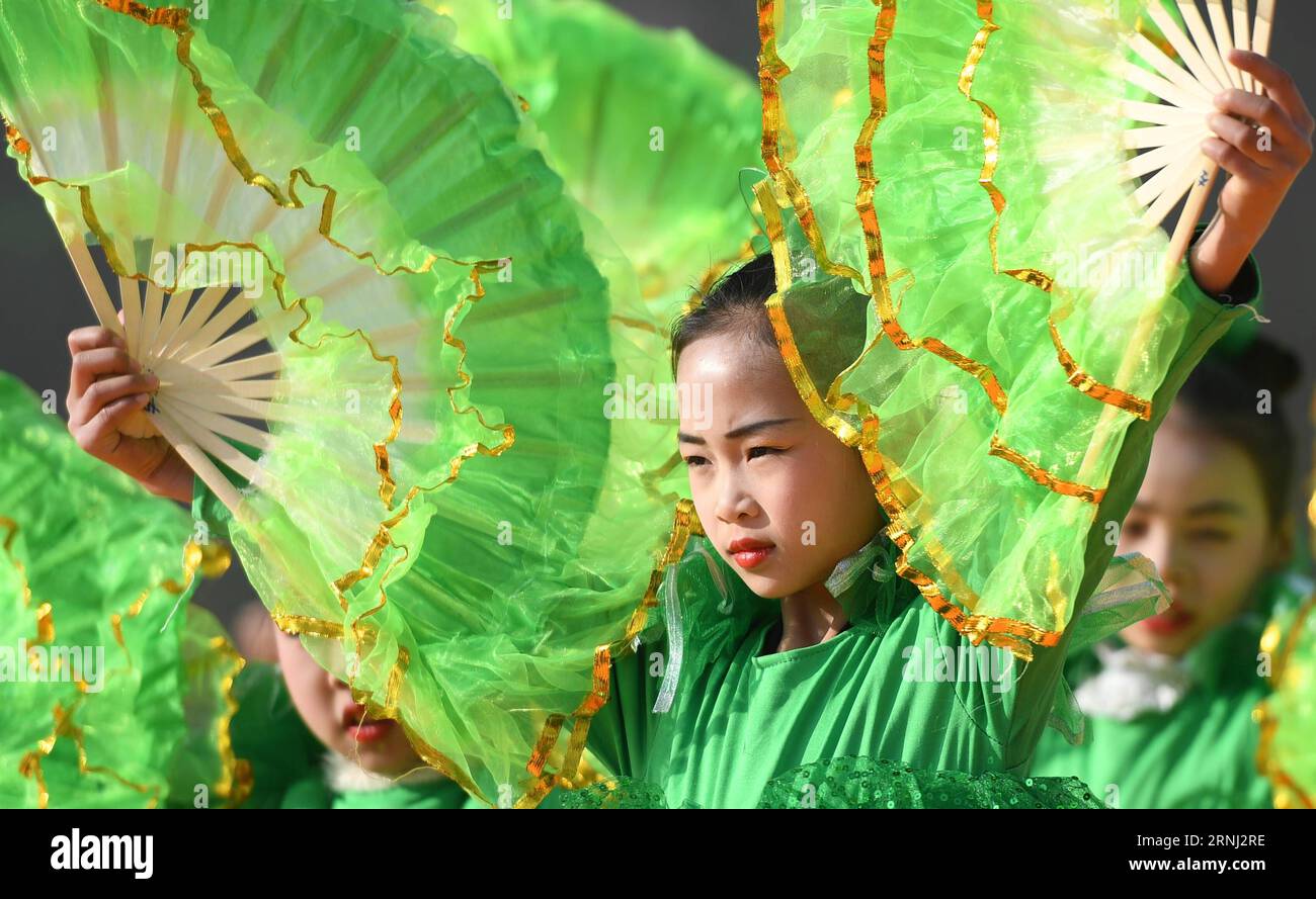 (161228) -- RONGAN, Dec. 28, 2016 -- A child performs in Chang an Township in Rong an County, south China s Guangxi Zhuang Automonous Region, Dec. 28, 2016. A celebration was held for the harvest of kumquat fruit here on Wednesday. ) (zyd) CHINA-GUANGXI-KUMQUAT HARVEST-CELEBRATION (CN) LuxBo an PUBLICATIONxNOTxINxCHN   Rongan DEC 28 2016 a Child performs in Chang to Township in Rong to County South China S Guangxi Zhuang  Region DEC 28 2016 a Celebration what Hero for The Harvest of Kumquat Fruit Here ON Wednesday ZYD China Guangxi Kumquat Harvest Celebration CN LuxBo to PUBLICATIONxNOTxINxCHN Stock Photo