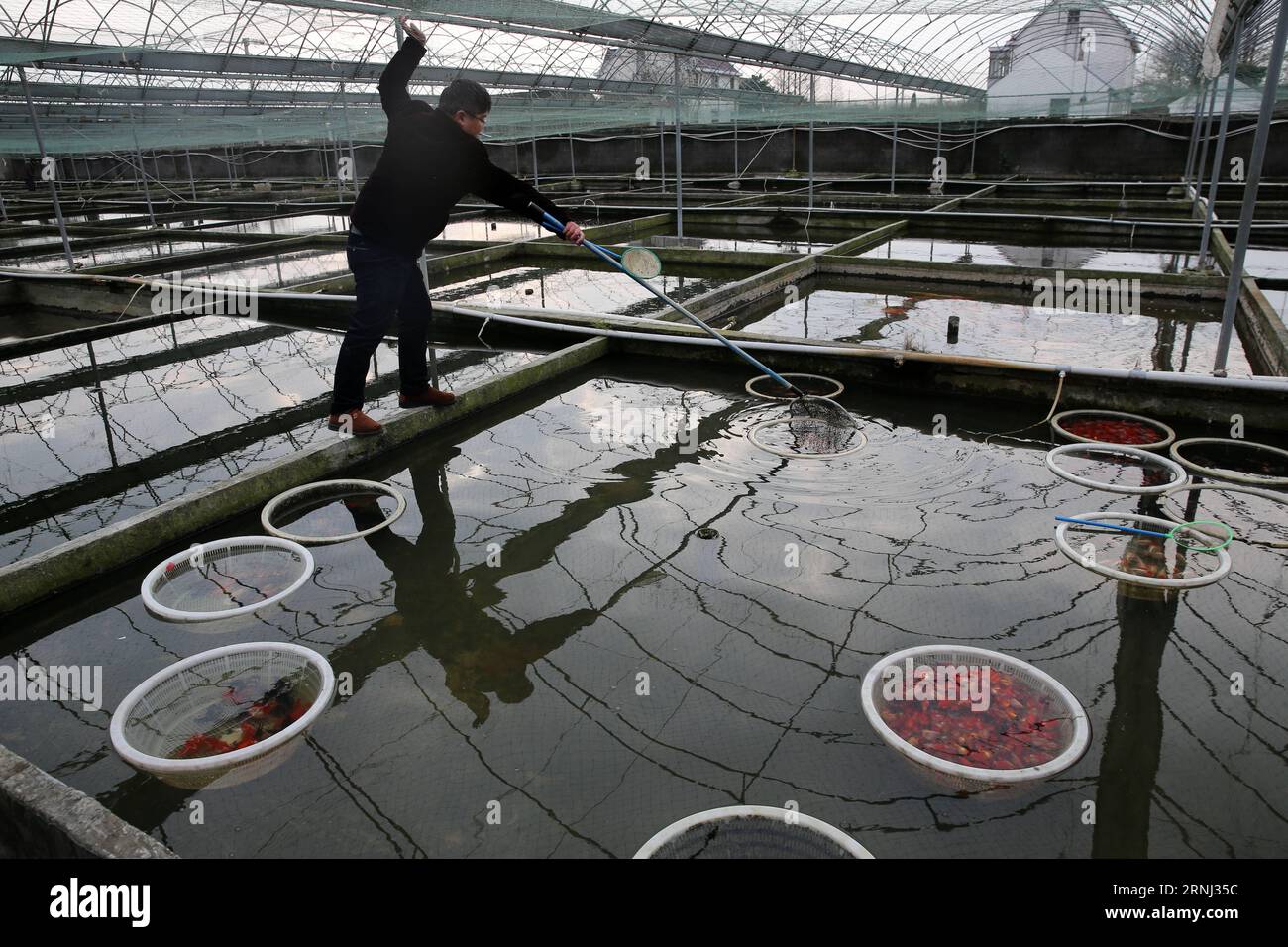 Dongchen hires stock photography and images Alamy