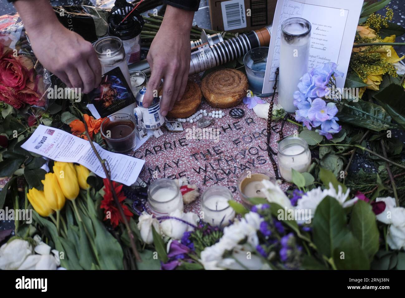 LOS ANGELES, Dec. 29, 2016 -- Flowers and candles surround an impromptu memorial created on a blank Hollywood Walk of Fame star by fans of late actress and author Carrie Fisher, in Los Angeles, California, the United States, on Dec. 29, 2016. Hollywood star Debbie Reynolds died of stroke Wednesday at the age of 84, one day after her daughter Carrie Fisher s death. Carrie Fisher, the actress best known as Princess Leia in the Star Wars movie franchise, died at the age of 60 on Tuesday morning, after suffering a heart attack on a flight last Friday. ) (zw) U.S.-LOS ANGELES-DEBBIE REYNOLDS-CARRIE Stock Photo