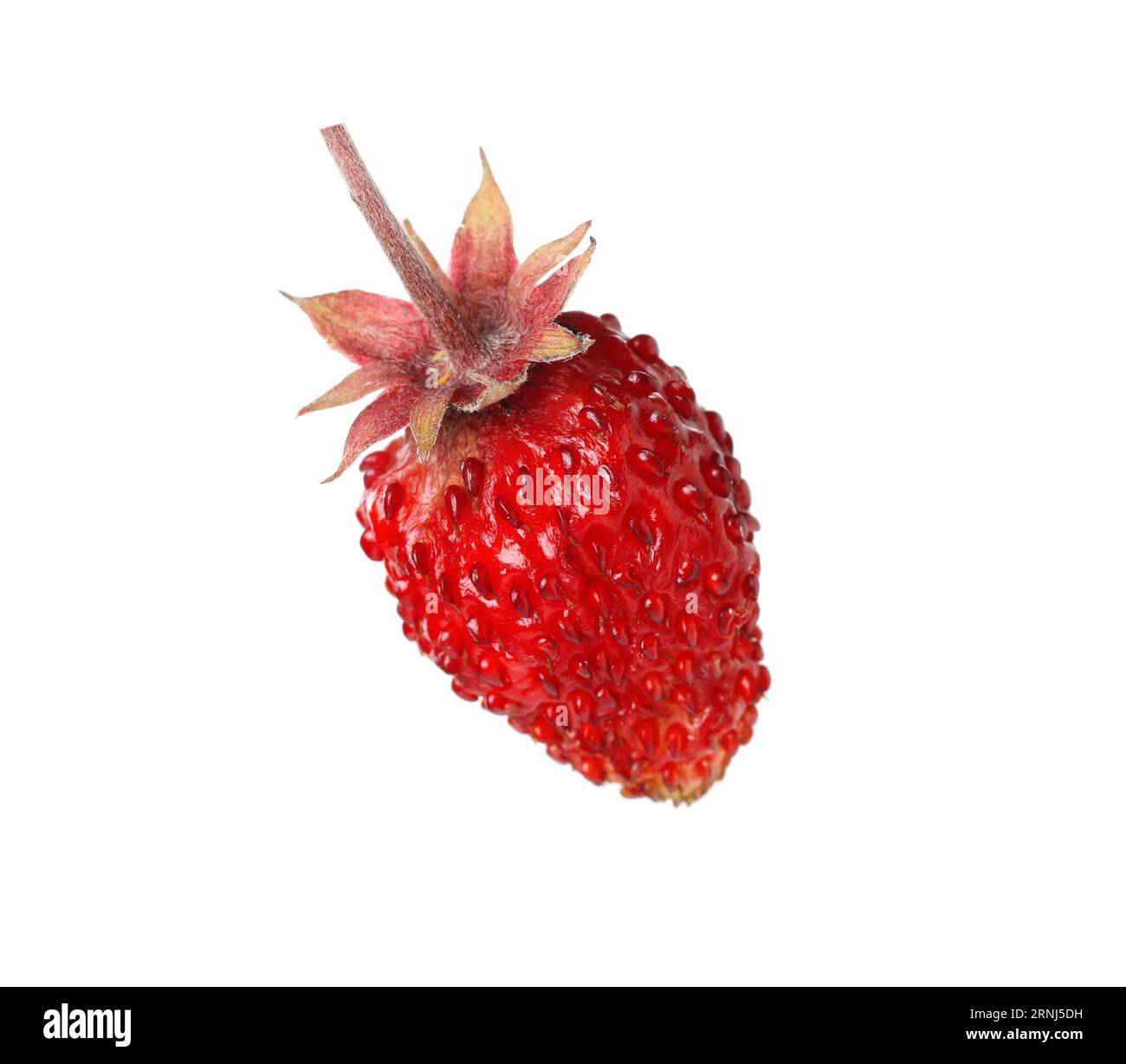One ripe wild strawberry isolated on white Stock Photo - Alamy