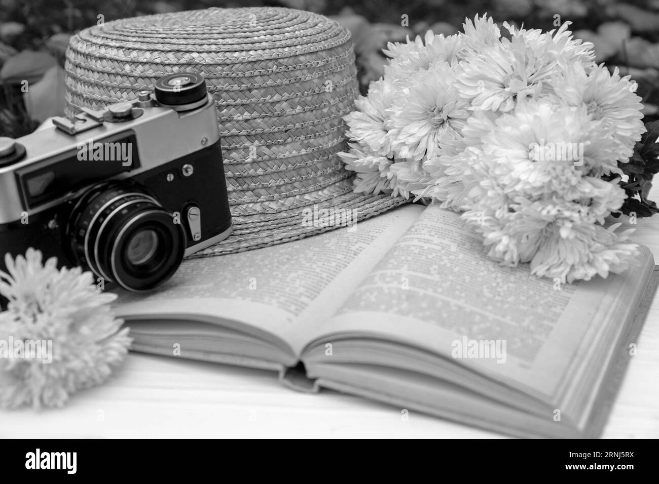 Composition with beautiful chrysanthemum flowers, vintage camera and book on table outdoors, closeup. Black and white effect Stock Photo