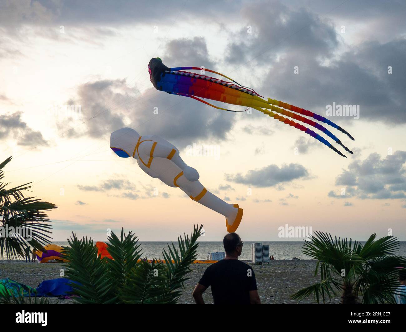 Kite Festival. Kites in the sky. A spectacle . Wind is like a force. air objects. Various forms. A beautiful sight.  Aerodynamics. Object in the sky. Stock Photo