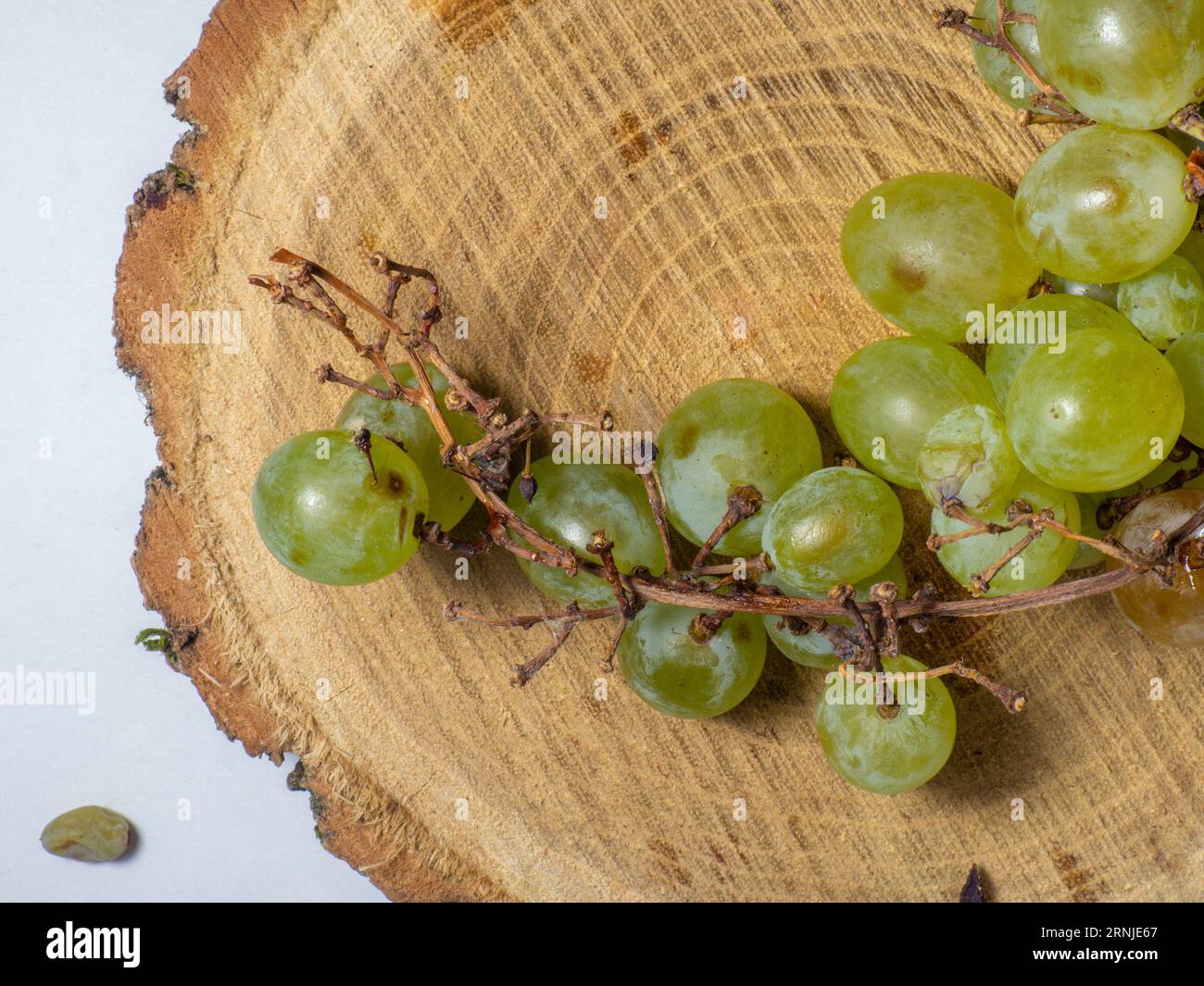 Grapes kishmish on a wooden background. The grapes are overripe