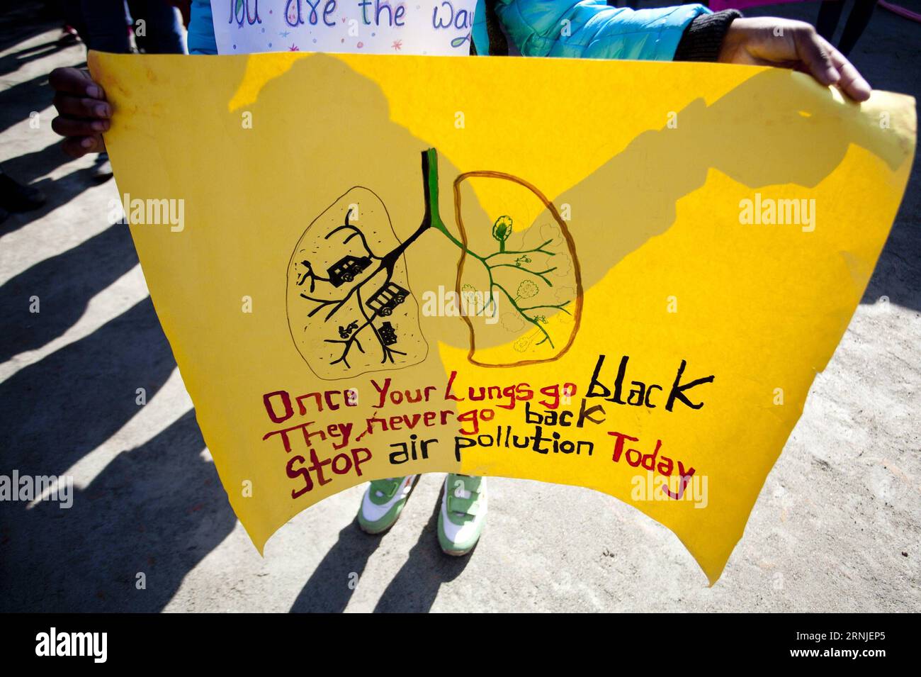 (170120) LALITPUR, Jan. 20, 2017 A Nepalese youth carrying a