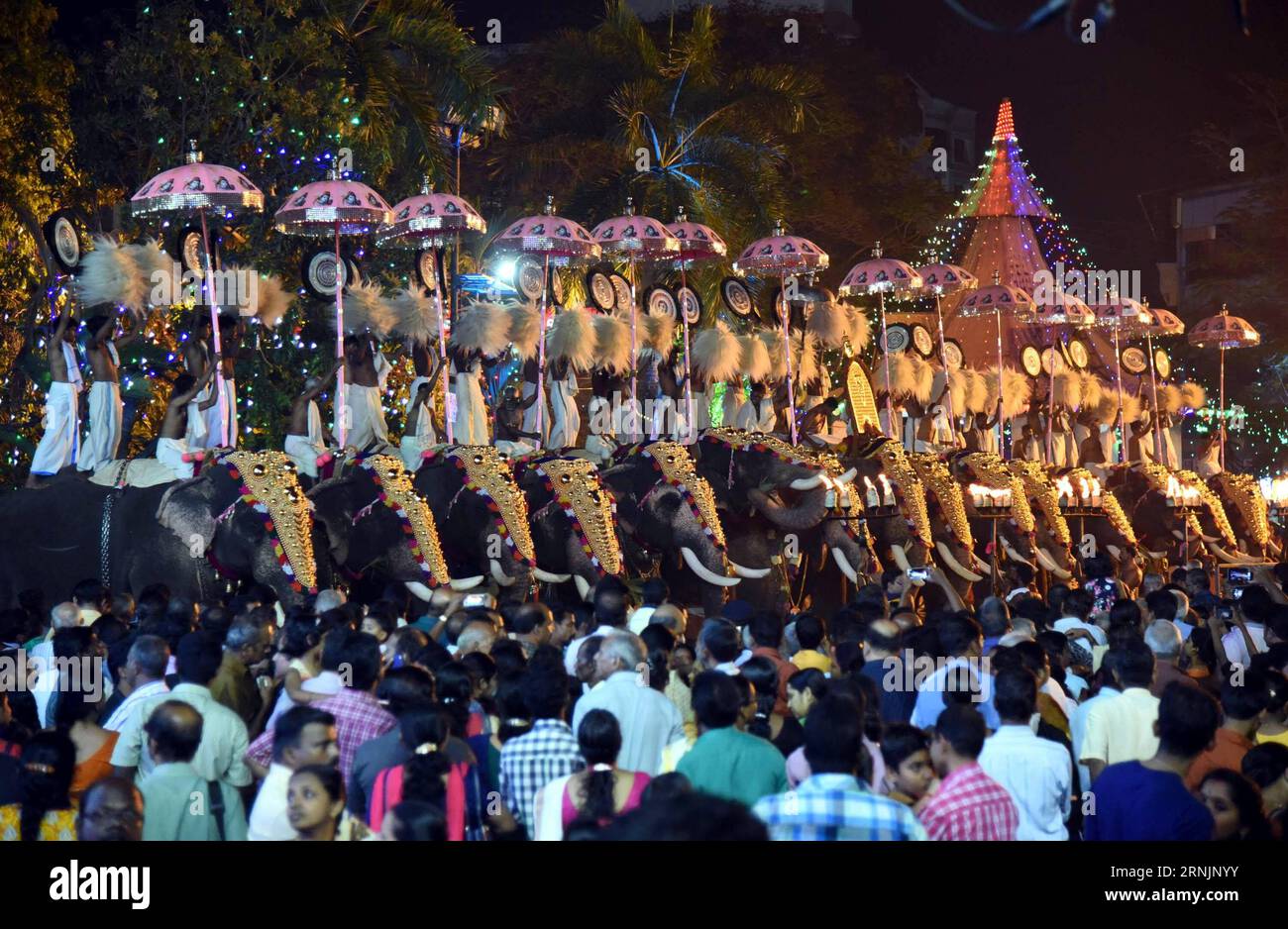 Decorated elephants take part in a celebration of Pooram Festival at Ernakulam Shiva temple in Kochi, southwestern Indian state of Kerala, Feb. 7, 2017. Pooram is an annual festival, which is celebrated in temples dedicated to goddesses Durga or Kali held especially in Valluvanadu area and other adjoining parts of north-central Kerala. ) INDIA-KOCHI-POORAM FESTIVAL-ELEPHANTS Stringer PUBLICATIONxNOTxINxCHN   decorated Elephants Take Part in a Celebration of Pooram Festival AT Ernakulam Shiva Temple in Kochi South Western Indian State of Kerala Feb 7 2017 Pooram IS to Annual Festival Which IS c Stock Photo