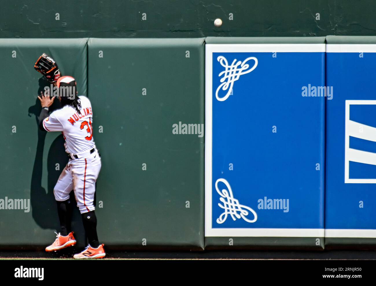 BALTIMORE, MD - August 24: Baltimore Orioles center fielder Cedric Mullins  (31) bats during the Toronto Blue Jays versus the Baltimore Orioles on  August 24, 2023 at Oriole Park at Camden Yards