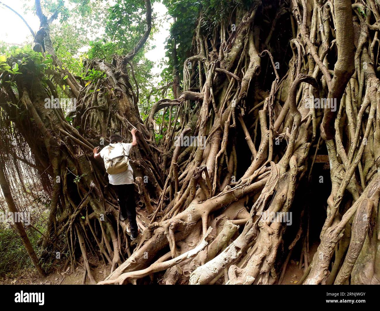 (170216) -- AURORA, Feb. 16, 2017 -- A tourist climbs a 600-year-old ...
