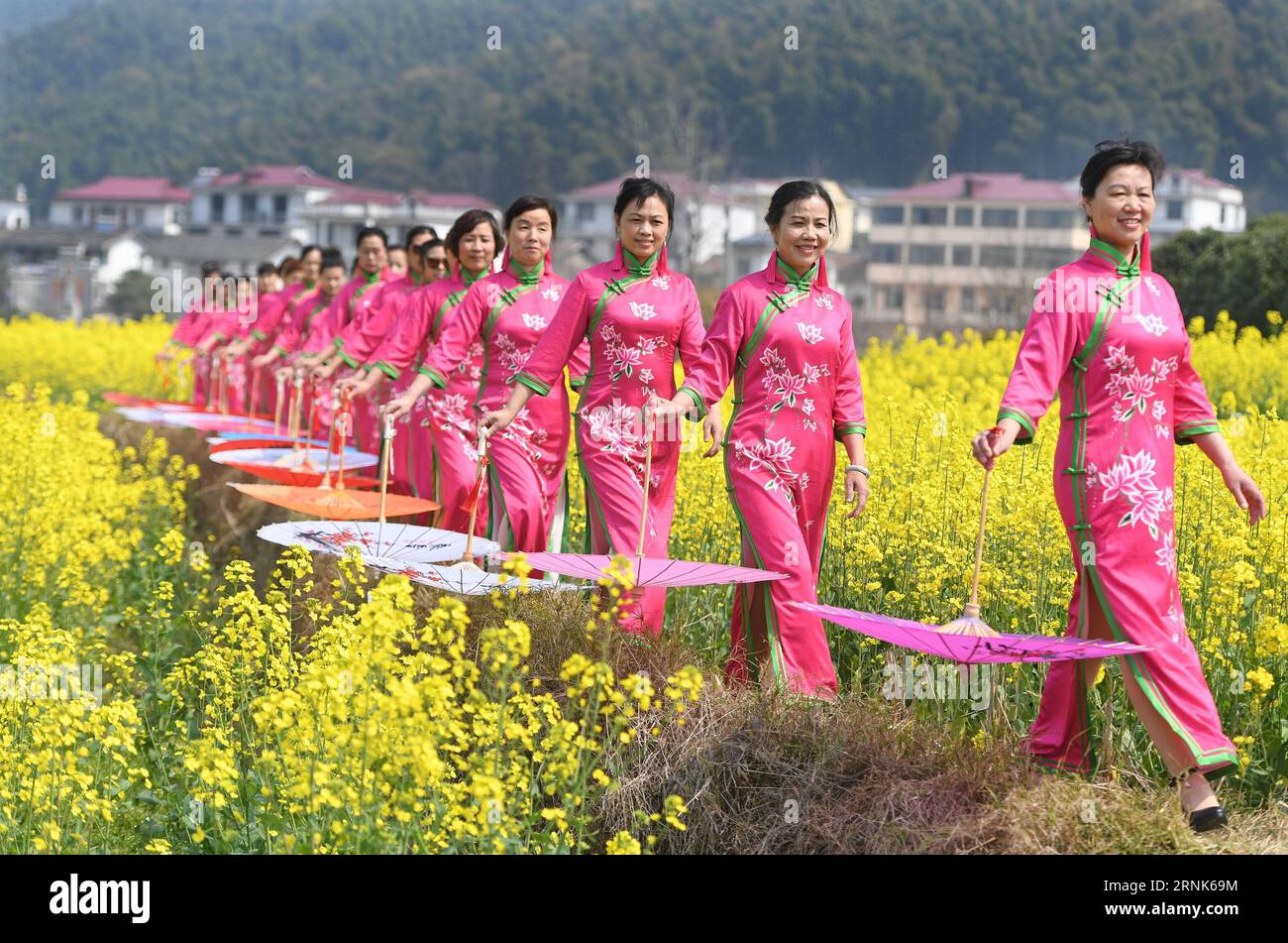 https://c8.alamy.com/comp/2RNK69M/170308-nanchang-march-8-2017-women-present-qipao-a-traditional-chinese-dress-during-a-qipao-show-at-a-cole-flower-field-in-nanchang-capital-of-east-china-s-jiangxi-province-march-8-2017-zyd-china-nanchang-qipao-show-cn-wanxxiang-publicationxnotxinxchn-nanchang-march-8-2017-women-present-qipao-a-traditional-chinese-dress-during-a-qipao-show-at-a-cole-flower-field-in-nanchang-capital-of-east-china-s-jiangxi-province-march-8-2017-zyd-china-nanchang-qipao-show-cn-wanxxiang-publicationxnotxinxchn-2RNK69M.jpg