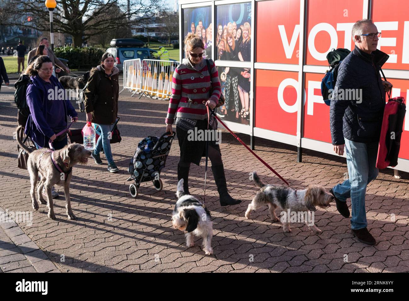 (170309) -- BIRMINGHAM (BRITAIN), March 9, 2017 -- Dog owners and their dogs arrive for the annual Crufts dog show in Birmingham, Britain, on March 9, 2017. ) BRITAIN-BIRMINGHAM-CRUFTS DOG SHOW RayxTang PUBLICATIONxNOTxINxCHN   Birmingham Britain March 9 2017 Dog Owners and their Dogs Arrive for The Annual Crufts Dog Show in Birmingham Britain ON March 9 2017 Britain Birmingham Crufts Dog Show RayxTang PUBLICATIONxNOTxINxCHN Stock Photo