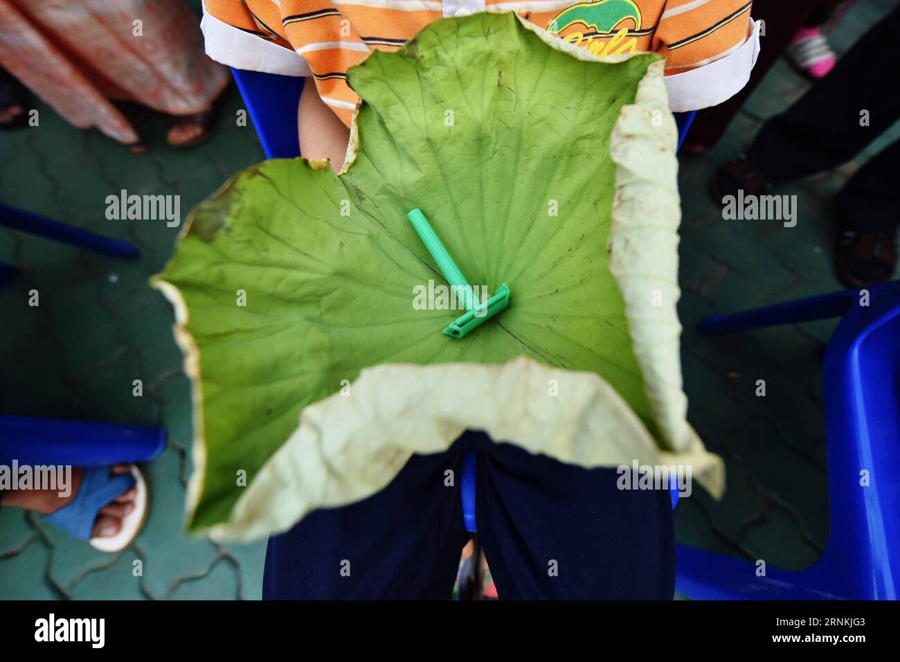 170405-mae-hong-son-april-5-2017-a-boy-demonstrates-a-lotus