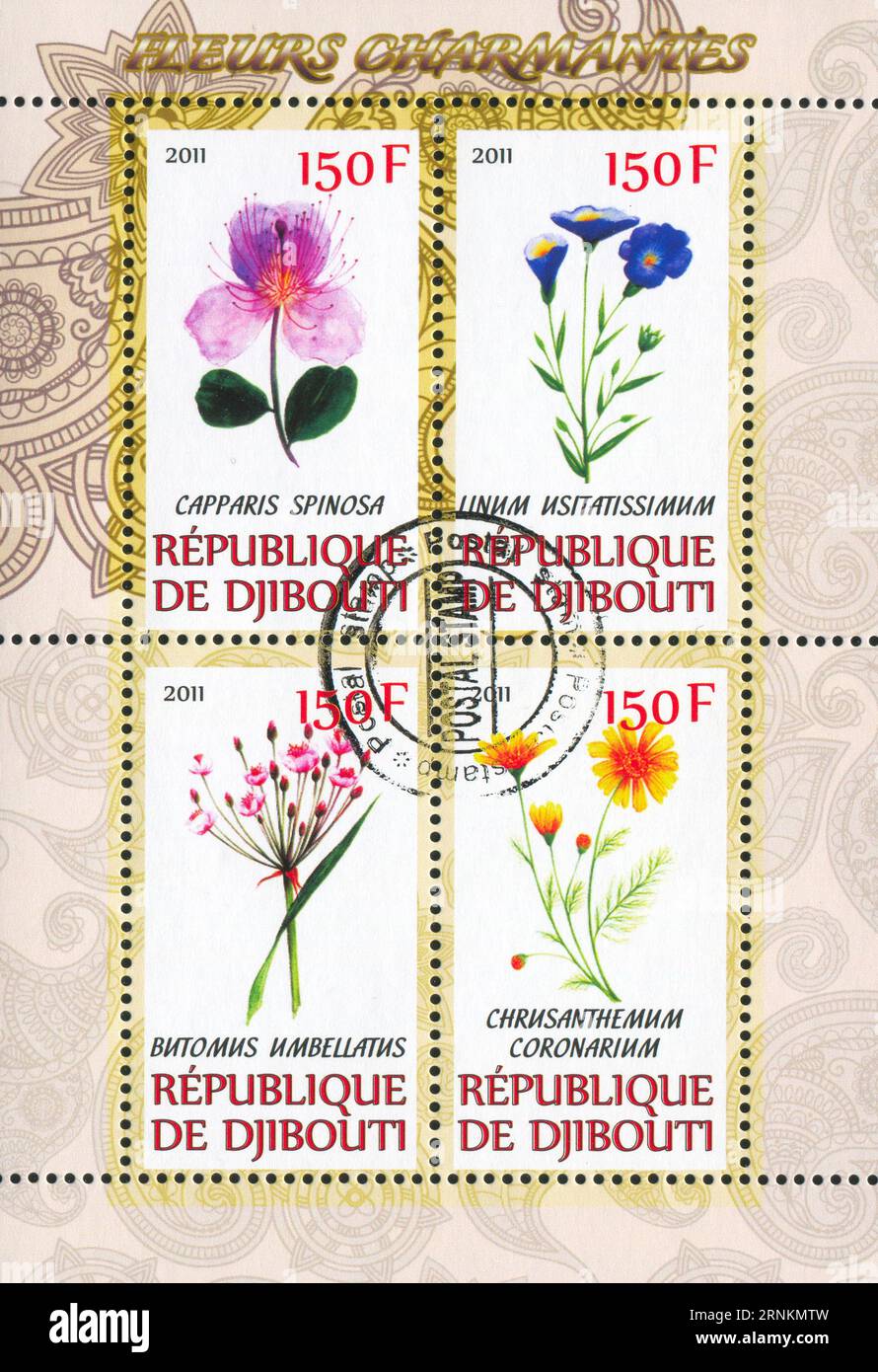 DJIBOUTI - CIRCA 2011: stamp printed by Djibouti, shows flower, circa 2011 Stock Photo