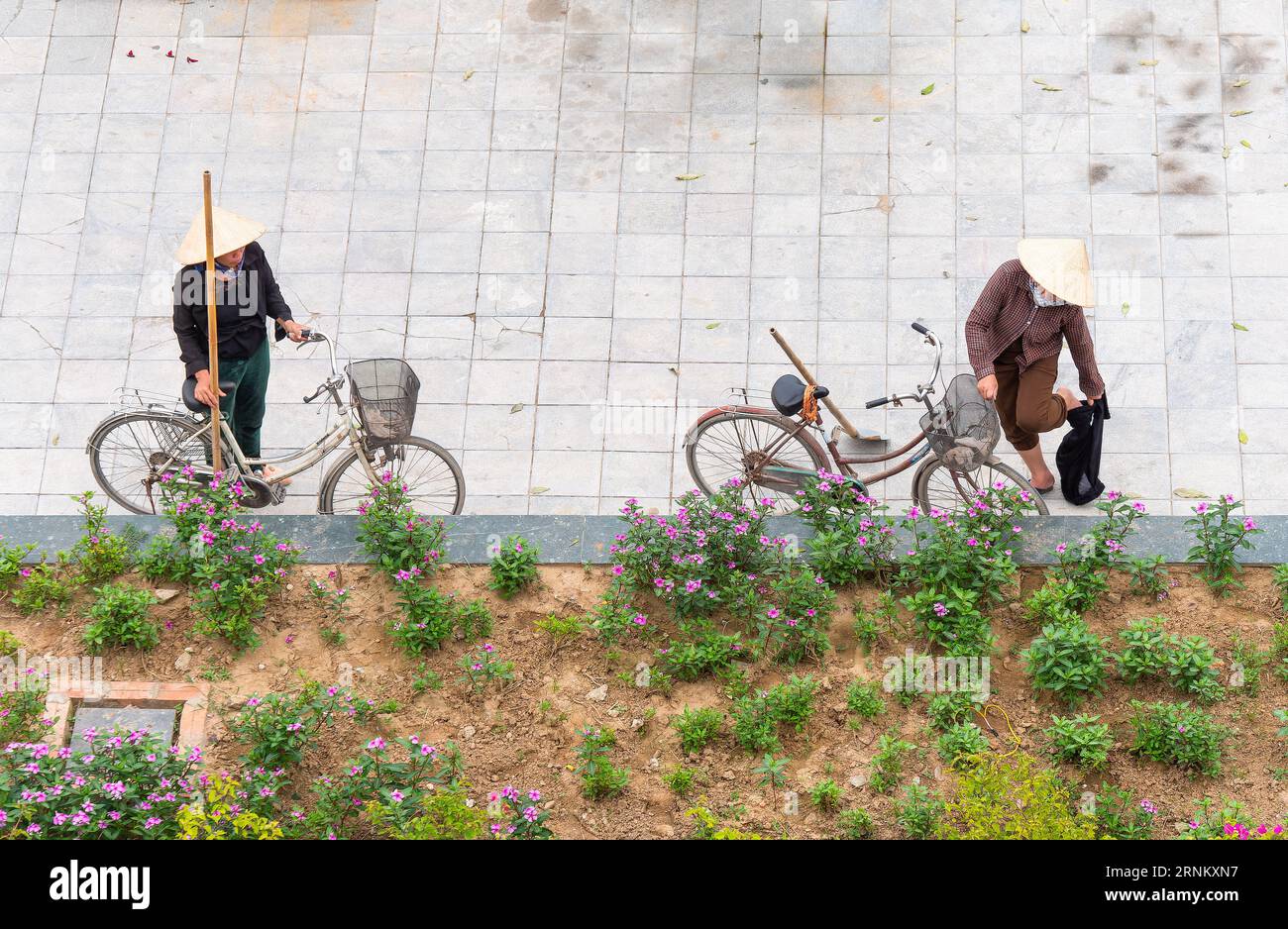 Two women with bicycles getting ready to work on a flower bed at Sam Son Beach, Thanh Hoa, Vietnam Stock Photo