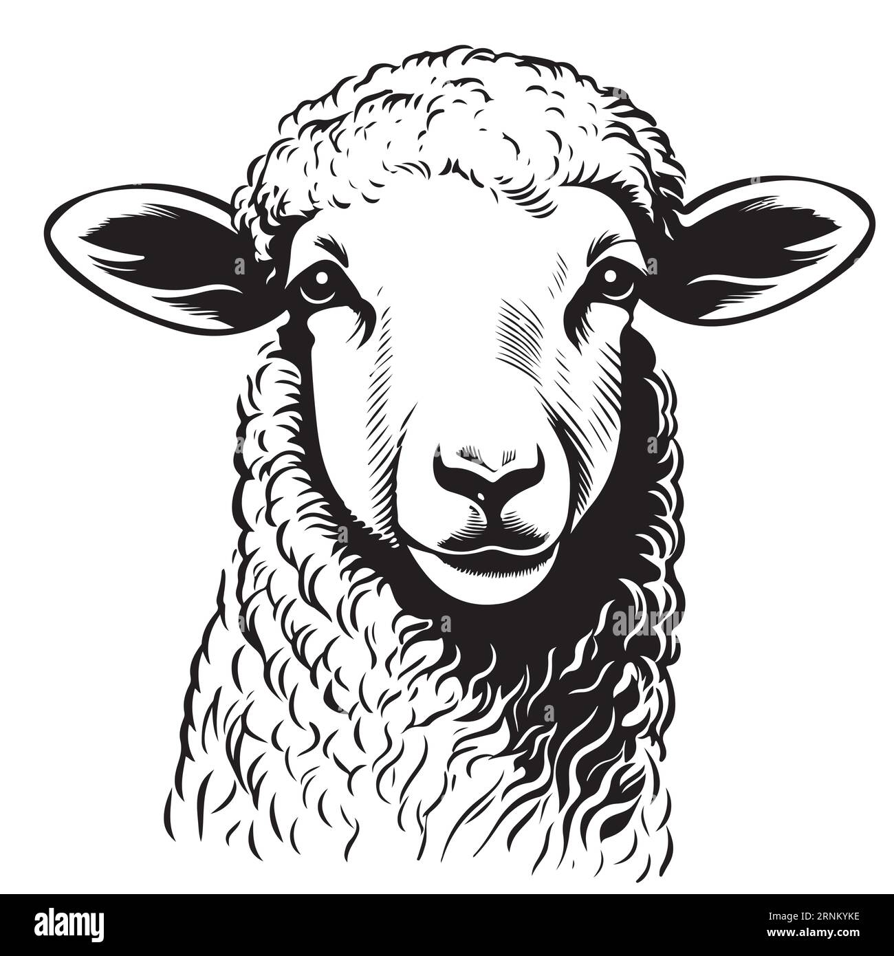 Farm lamb face hand drawn sketch Vector Stock Vector Image & Art Alamy