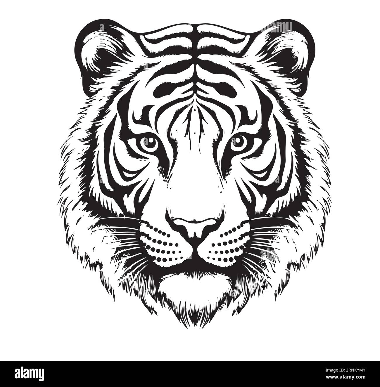 Tiger head hand drawn sketch Vector Wild safari animals Stock Vector