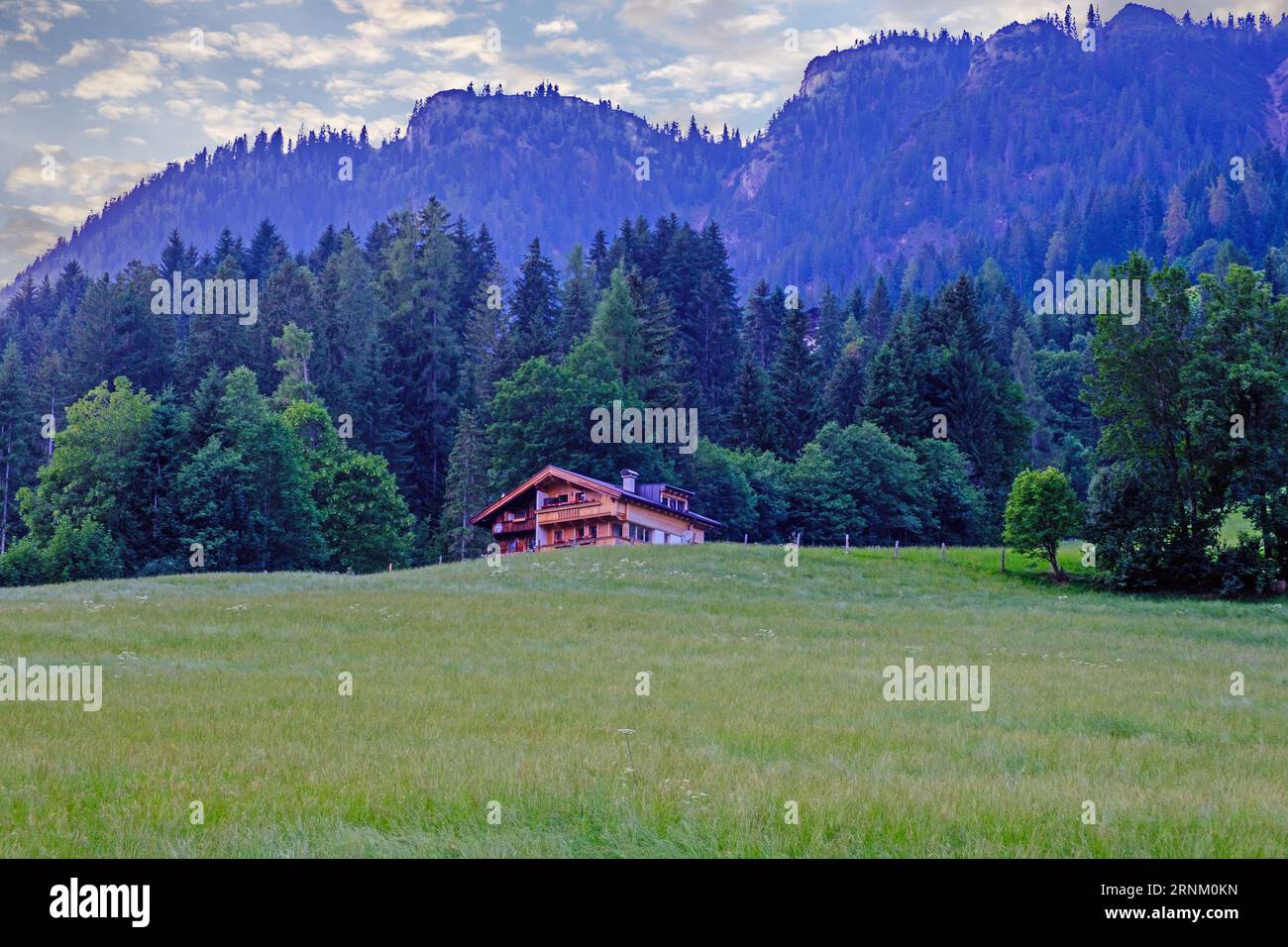 Traditional wooden Alpine house in a field with tall trees & mountains. Alpbach, village in Tyrol, Western Austria. Stock Photo