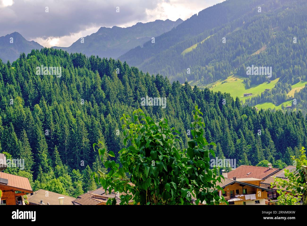 Looking down at trees and rooftops of Alpbach, village in Tyrol Alps, Austria, with mountains in background. Stock Photo