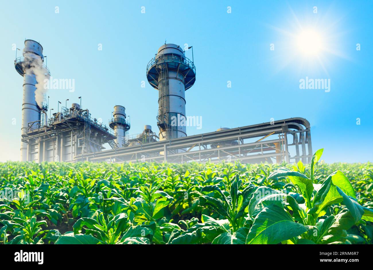Green Industry with agriculture field. Eco power plant, Petroleum production saving environmental. Sustainable Factory concept Stock Photo