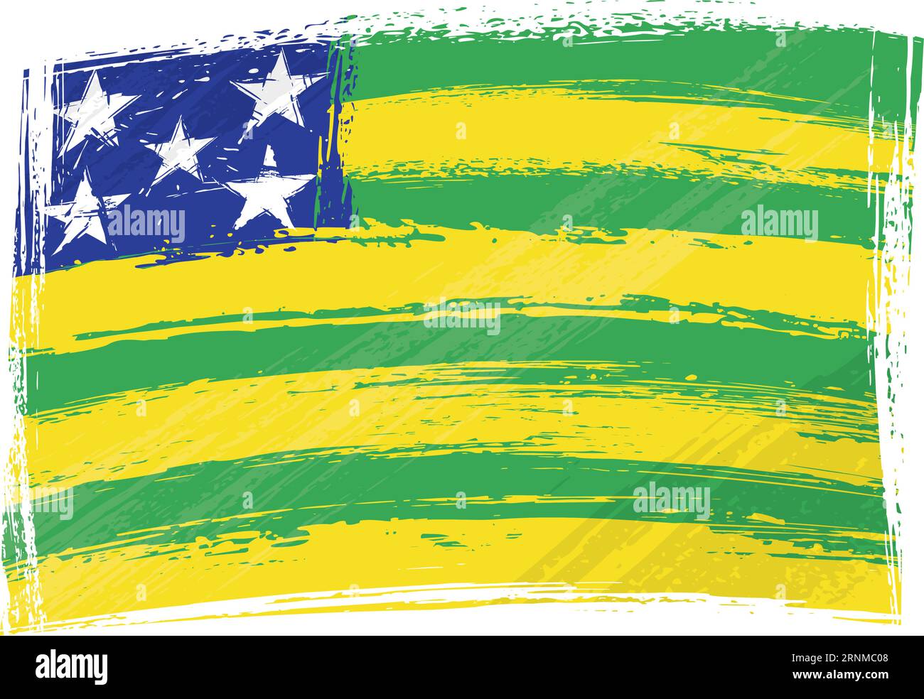 Grunge Goias flag Stock Vector