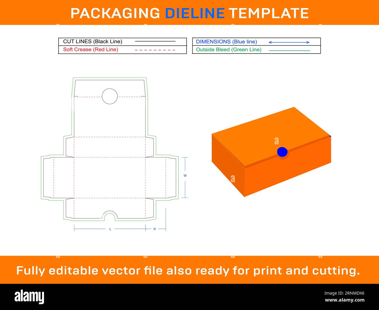 Shoe Cardboard Box Dieline Template Stock Vector Image & Art Alamy