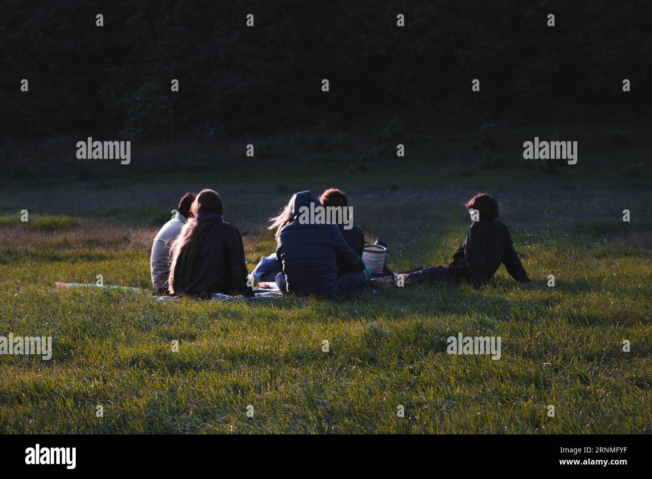 Group of young people sitting together on a day out in public park near sunset, enjoying company Stock Photo