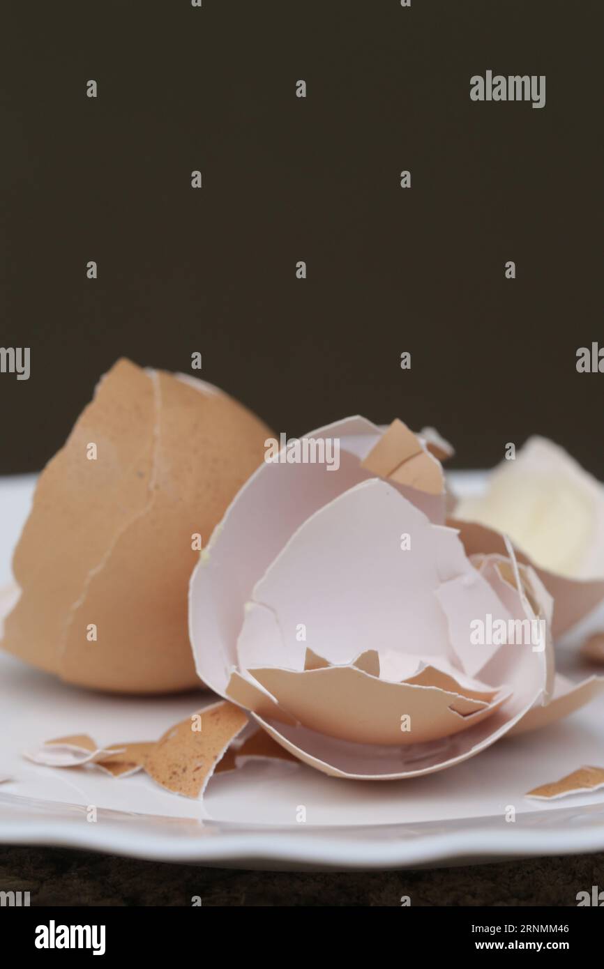 Crushed egg shell on the plate, cn be used as a calcium and mineral