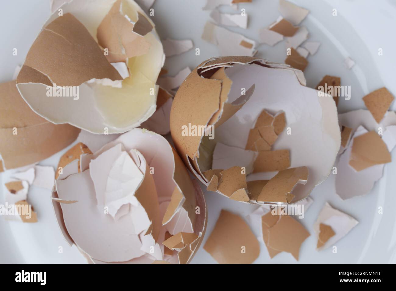 Crushed egg shell on the plate, cn be used as a calcium and mineral