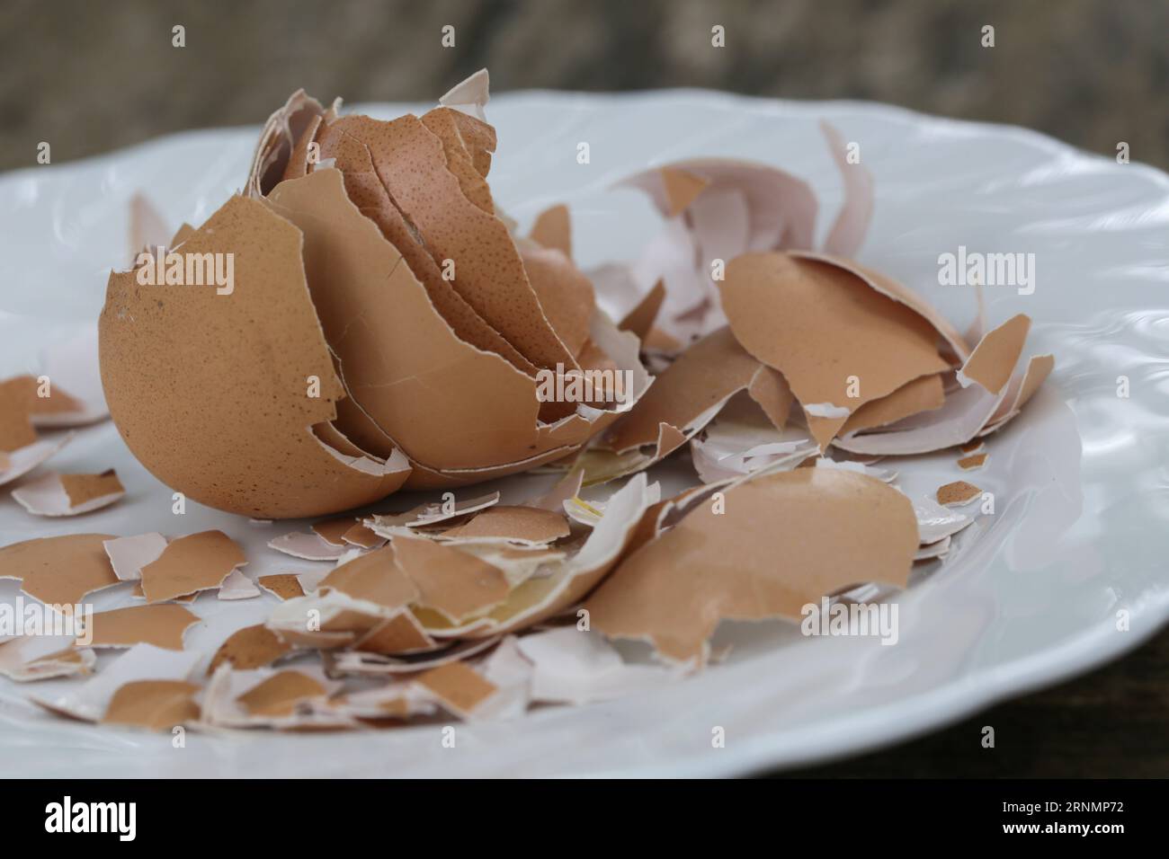 Crushed egg shell on the plate, cn be used as a calcium and mineral