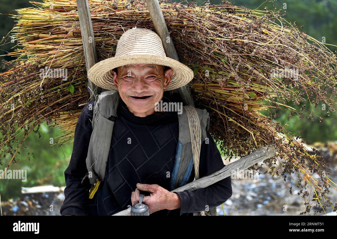 79 year old man hi-res stock photography and images - Alamy