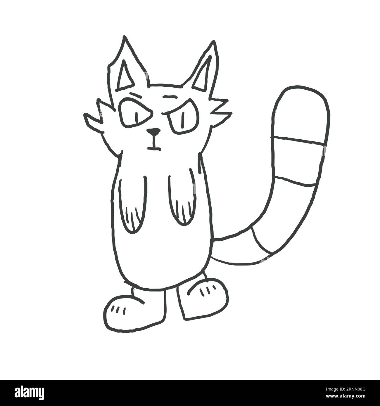 an angry cat illustration. a hand drawn illustration of a wild