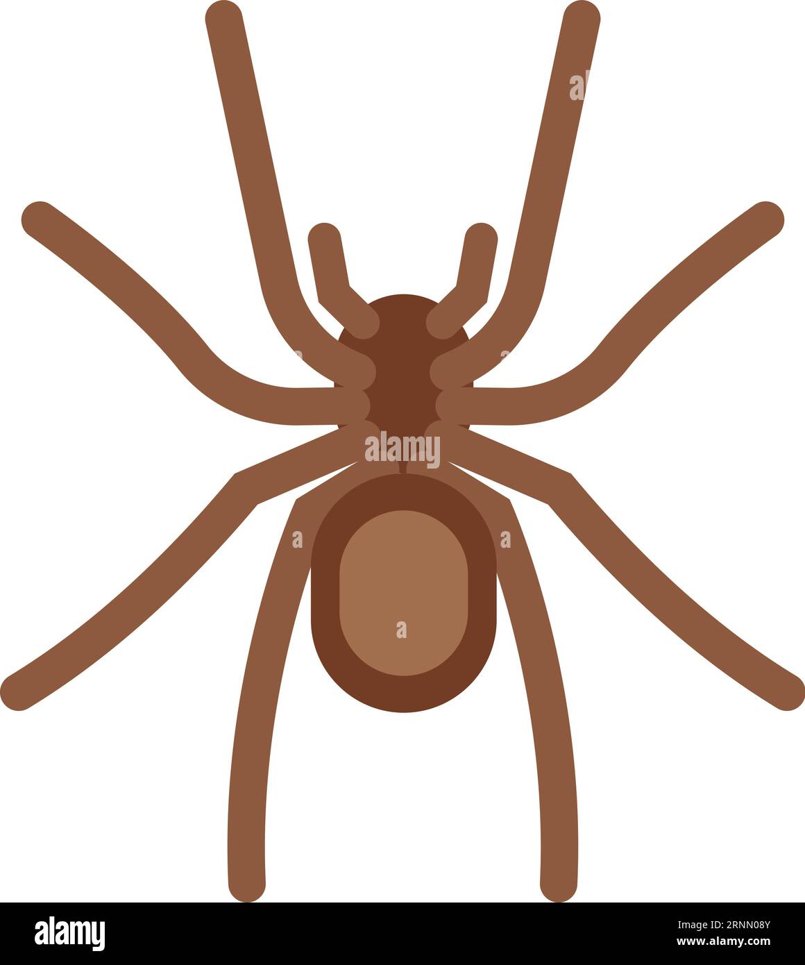 Spider flat insect icon. Arachnid color symbol Stock Vector