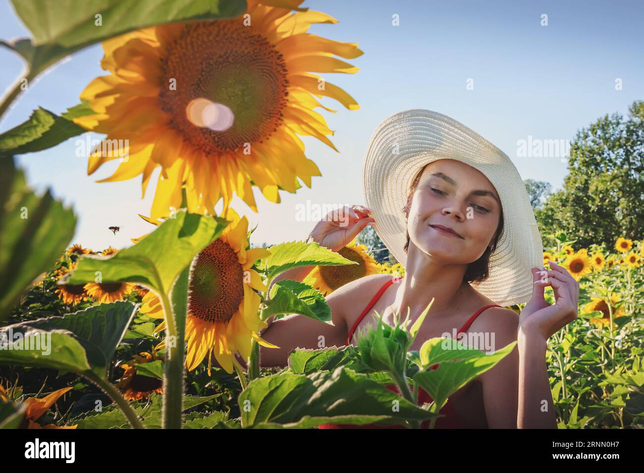 Beautiful cute young woman in a white wide-brimmed hat enjoys sunflower flowers, smiles a beautiful smile. cheerful girl, style and eco-friendly lifes Stock Photo