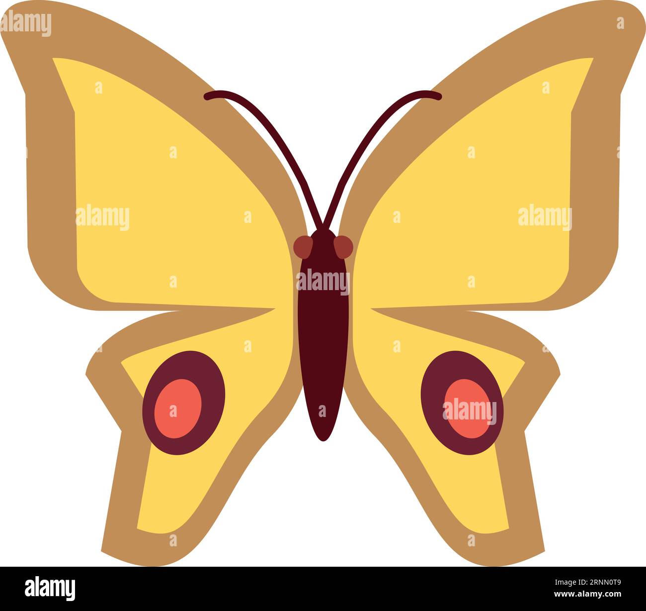 Flat moth hi-res stock photography and images - Alamy