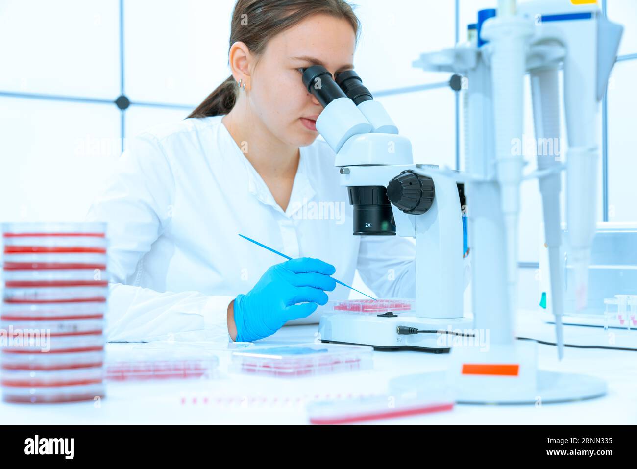 Mutation analysis: Microscopes help detect genetic mutations and study their consequences. Stock Photo