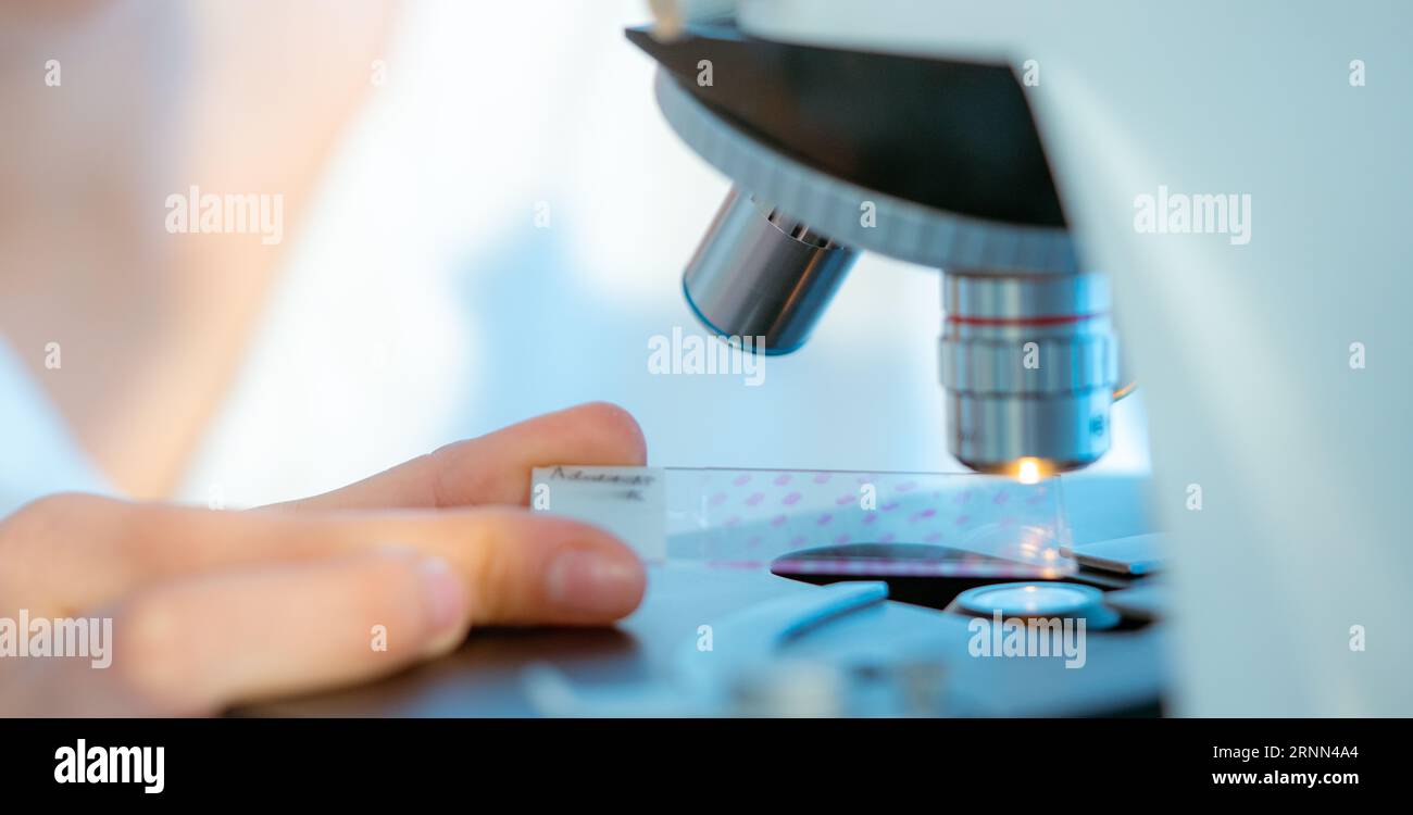 Biological membrane investigation Microscopes enable studying the