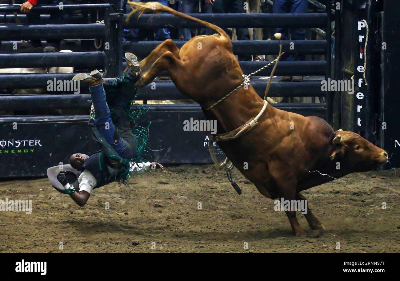 (170702) -- BEIJING, July 2, 2017 -- Cowboy Juliano Antonio Da Silva of Brazil falls down off a bull during the competition of the 2017 Professional Bull Riders (PBR) Monster Energy Canada Tour at Ricoh Coliseum in Toronto, Canada, June 24, 2017. ) WEEKLY CHOICES OF XINHUA PHOTO ZouxZheng PUBLICATIONxNOTxINxCHN   Beijing July 2 2017 Cowboy Juliano Antonio there Silva of Brazil Falls Down off a Bull during The Competition of The 2017 Professional Bull Riders pbr Monster Energy Canada Tour AT Ricoh Coliseum in Toronto Canada June 24 2017 Weekly Choices of XINHUA Photo ZouxZheng PUBLICATIONxNOTxI Stock Photo