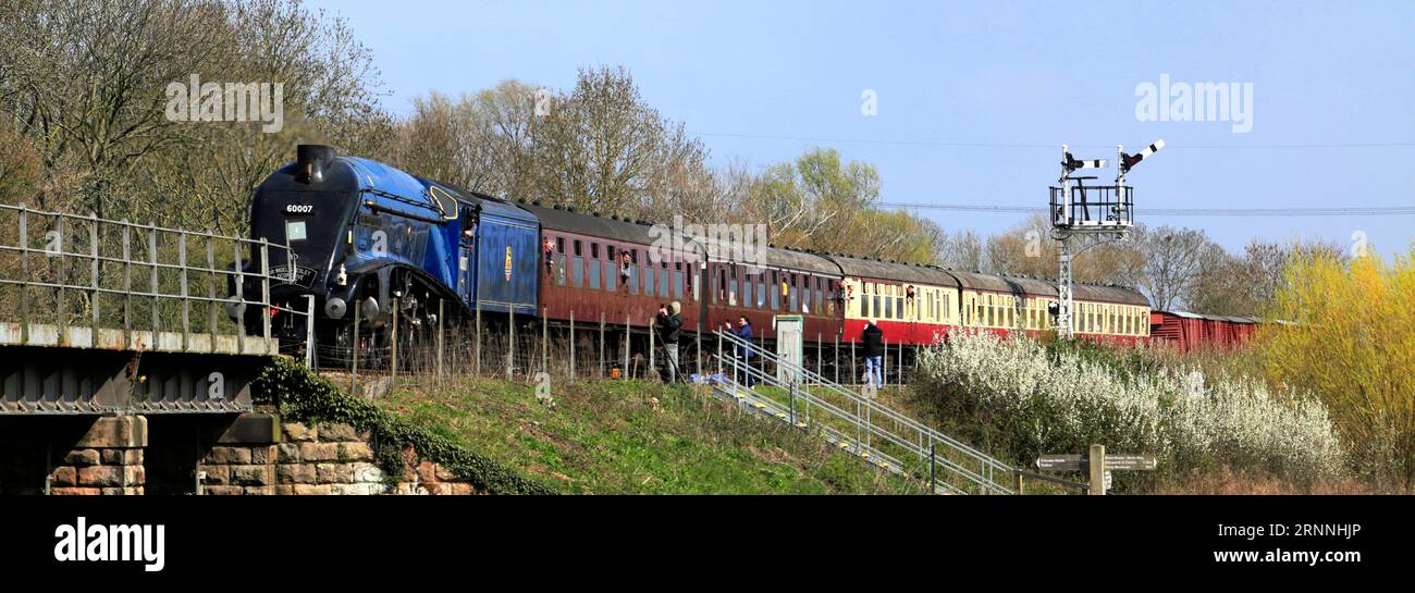 LNER Class A4 Pacific train, 60007 Sir Nigel Gresley at Nene Valley Railway, Wansford Station, Peterborough, Cambridgeshire, England Stock Photo