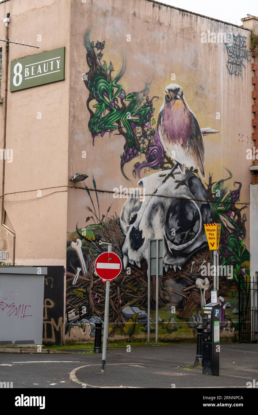 Street art mural in the city of Derry Londonderry, northern Ireland