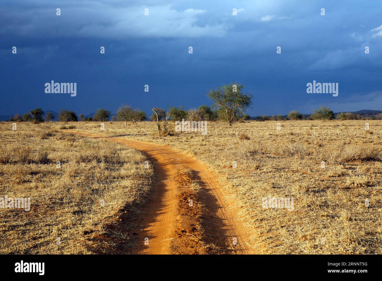 Dirt road under the dark sky hi-res stock photography and images - Alamy