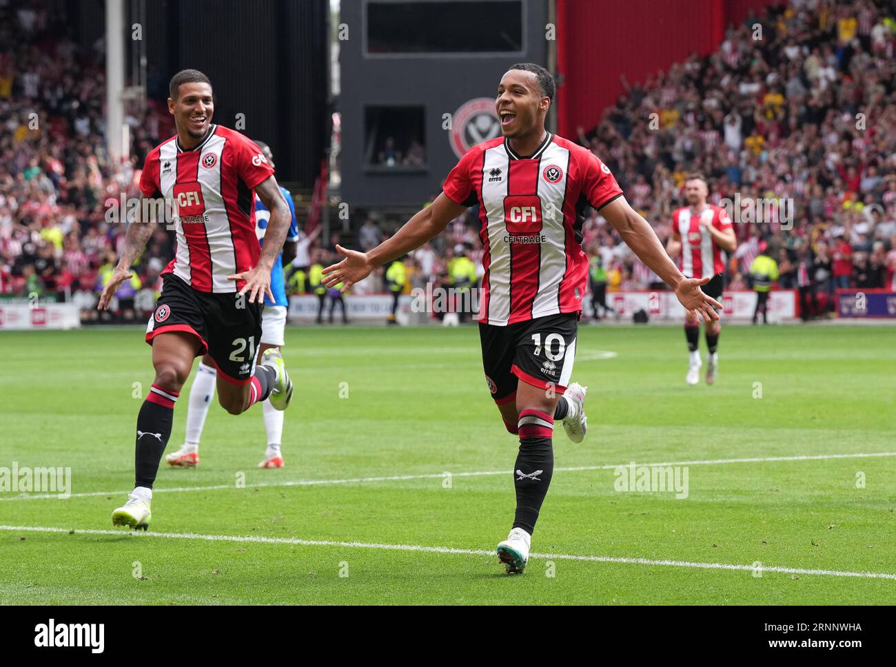 Tottenham Hotspur v Sheffield United: Quiet man Cameron Archer's