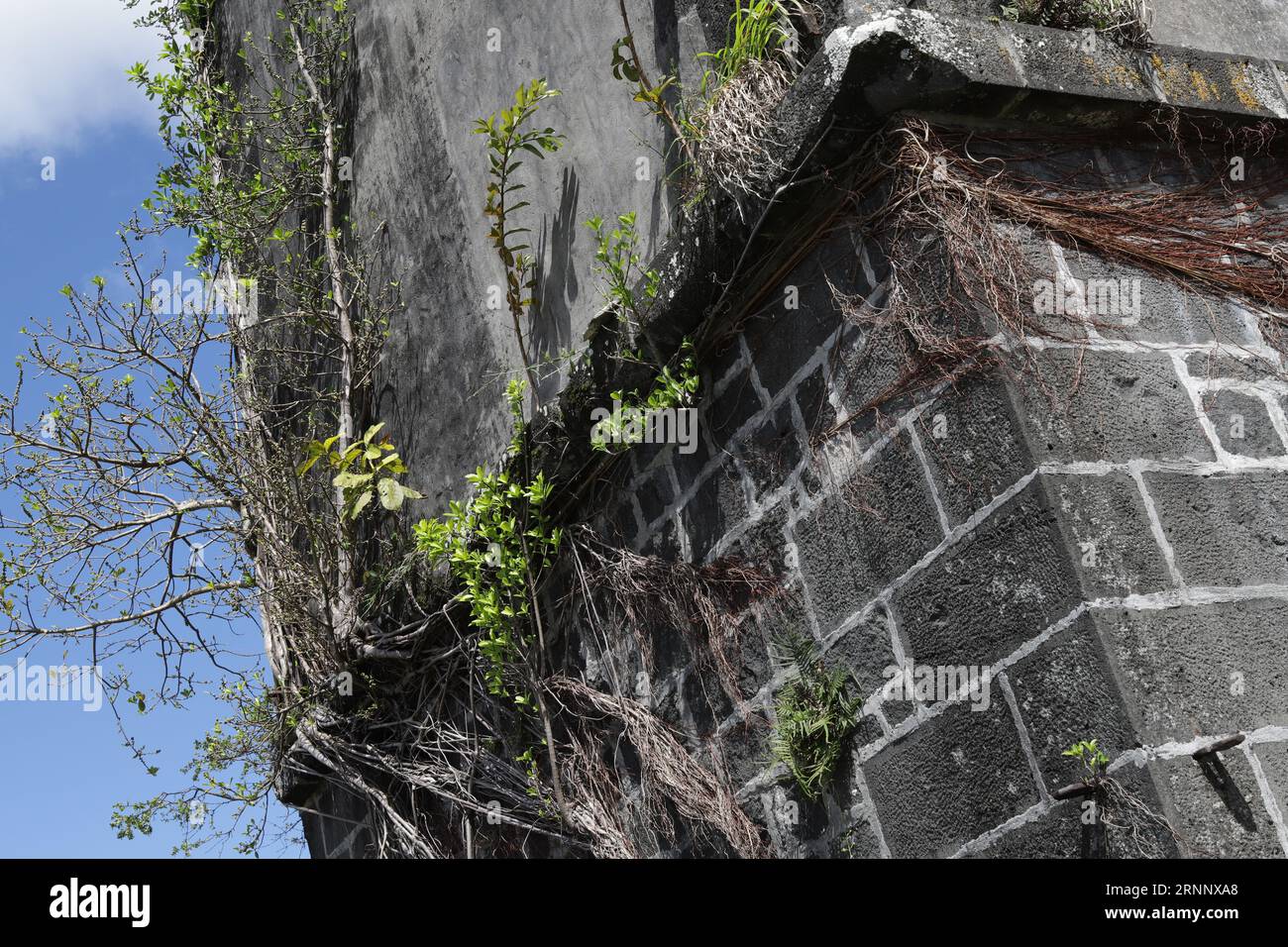 Detailed map of union park and near places google local hires stock photography and images Alamy