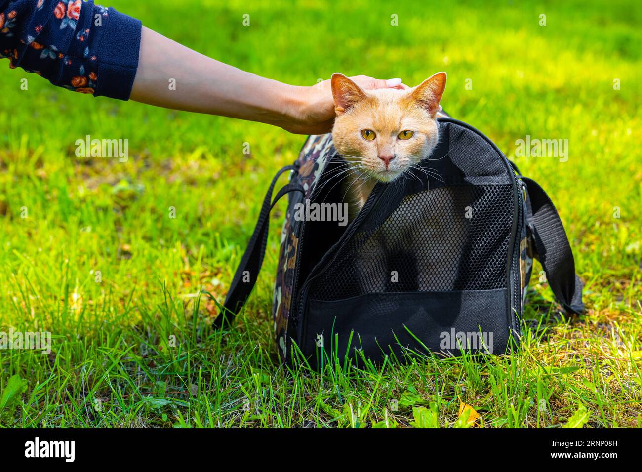 Unilad cat backpack new arrivals