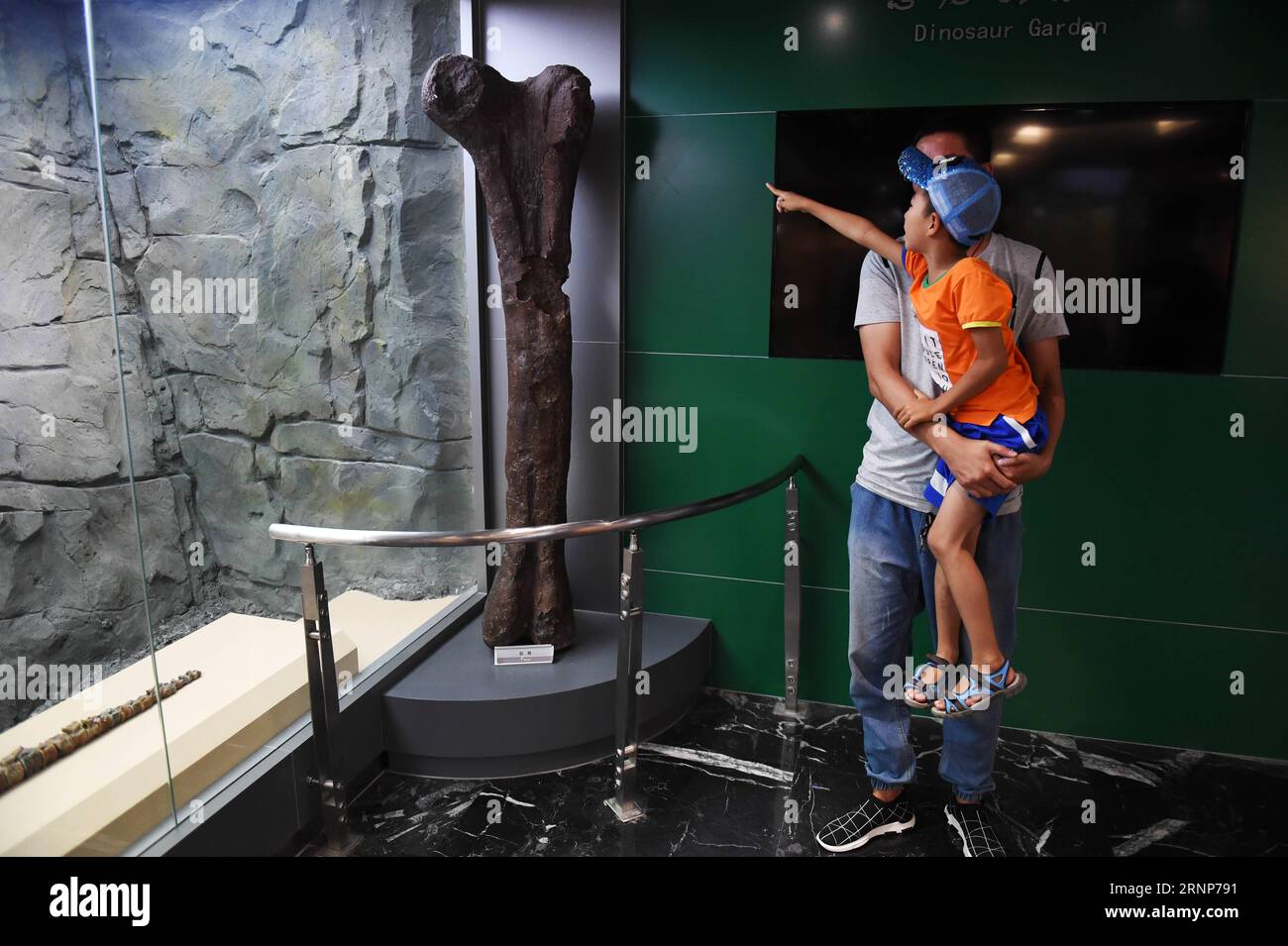 Fossil museum china hi-res stock photography and images