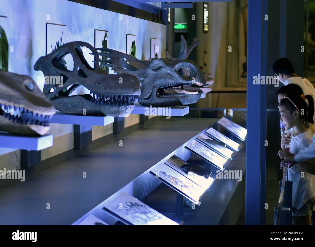 Fossil museum china hi-res stock photography and images Fossil museum china hi-res stock photography and images